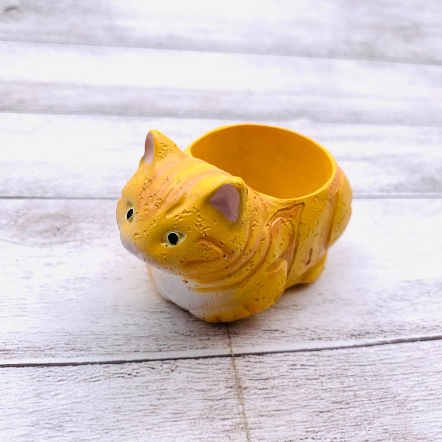 てのひらサイズの鉢　猫の鉢　アメリカンショートヘア　2号　デスク　棚　観葉植物　インテリア | 
