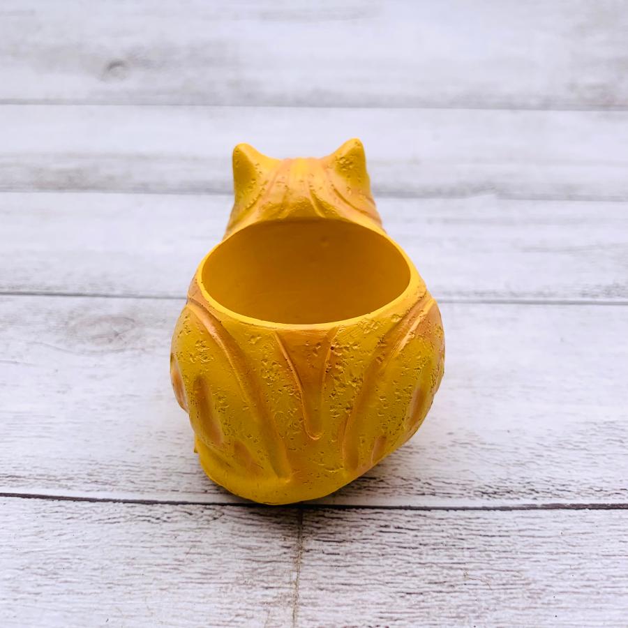 てのひらサイズの鉢　猫の鉢　アメリカンショートヘア　2号　デスク　棚　観葉植物　インテリア |  | 02