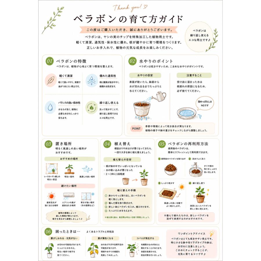 オプションから選べるセット　土を使わない観葉植物　ベラボン植え　ラウンドグラス　観葉植物　インテリア　室内　ギフト |  | 14