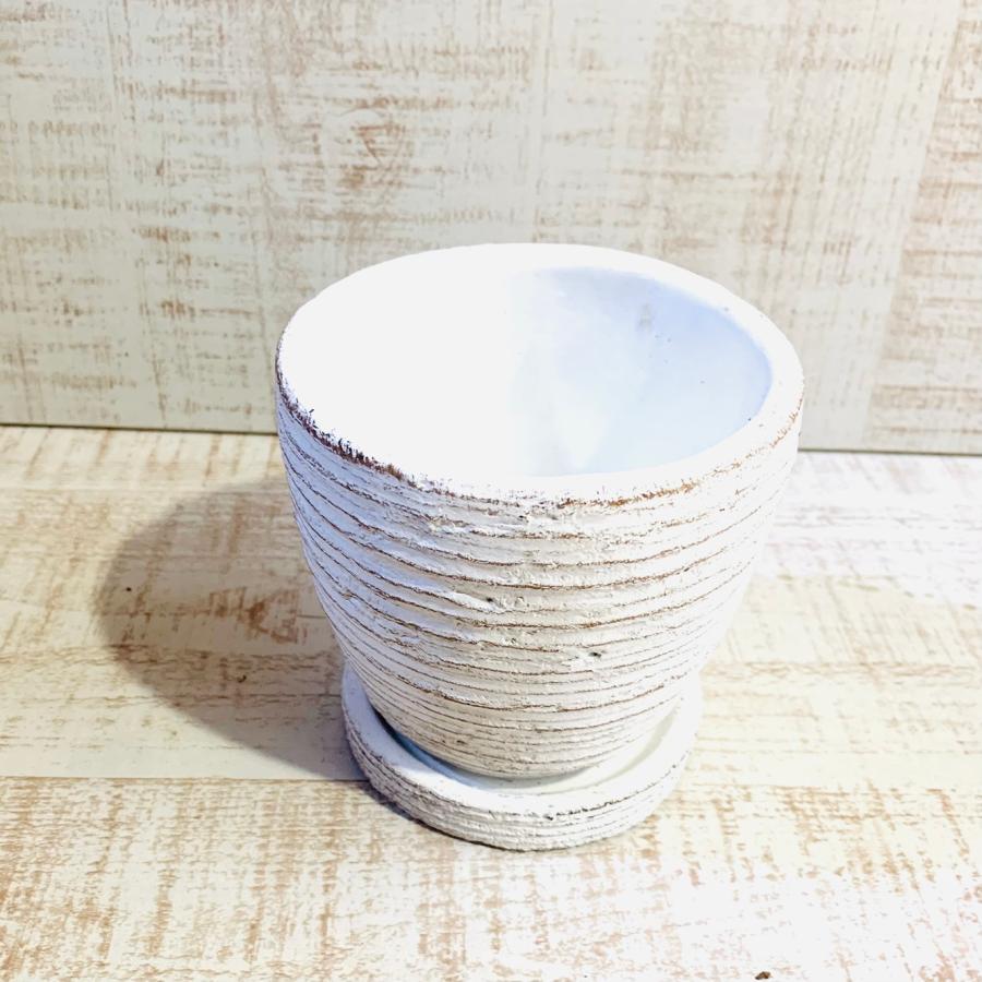 ハートアイビー　ヘデラ・サーク　3号　白陶器鉢　受け皿付き　インテリア　おしゃれ　観葉植物　引っ越し　植木鉢 |  | 03