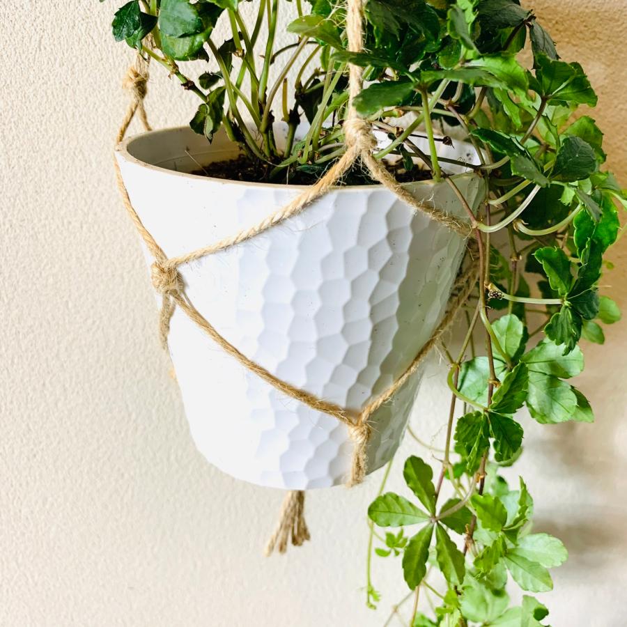 壁掛け　オシャレ　シュガーバイン　4号　ホワイトシェル鉢　インテリア　観葉植物　 |  | 03