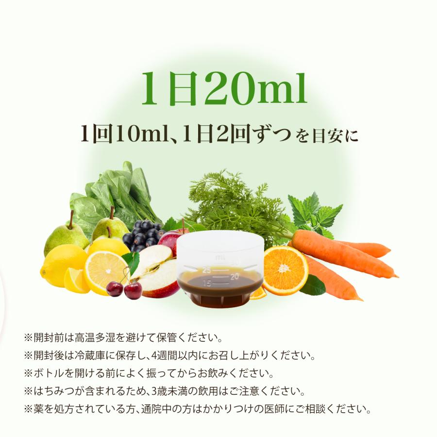 液体型 鉄分 吸収率特化 公式 フローラディクス 30日分 500ml ビタミン
