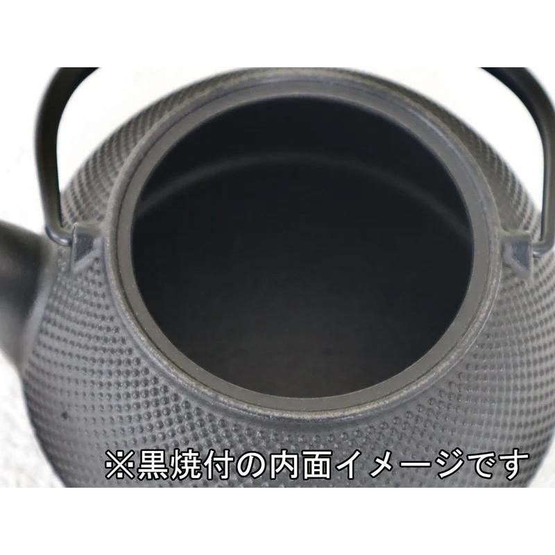 岩鋳（IWACHU） 南部鉄器 鉄瓶兼用急須 茶こし付き 5型新アラレ IH・直