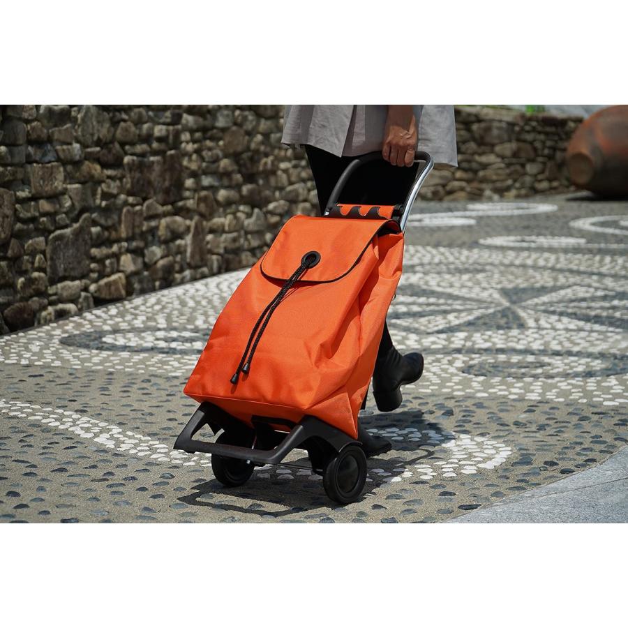 REAL JOY  15個 JOY （ジョイ） IC2面パスケース 「プレリー1957」 NP03855