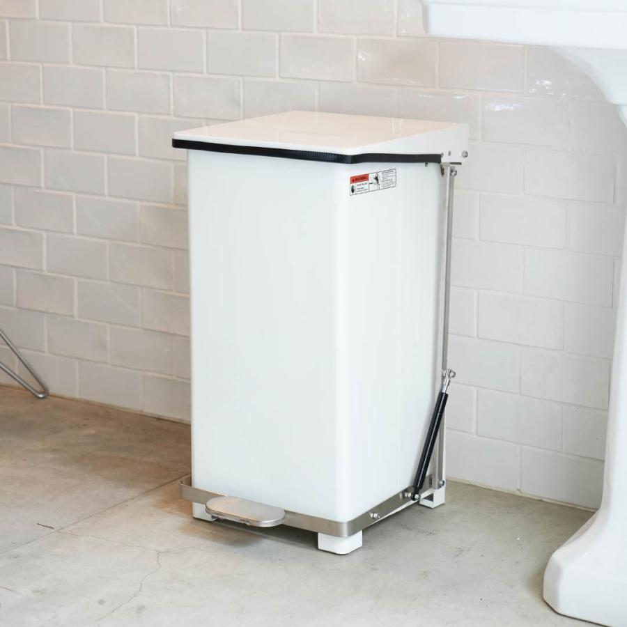 DULTON（ダルトン） ダストボックス ペダル ビン ゴミ箱 ふた付き 45L 