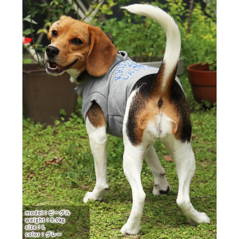 クリフメイヤードッグ KRIFF MAYER DOG アメカジ ドッグ お揃い 犬服 カレッジロゴ 暖かい ペアルック カラフル 防寒 小型犬 中型犬 ロゴ スウェット クルー | KRIFF MAYER | 16