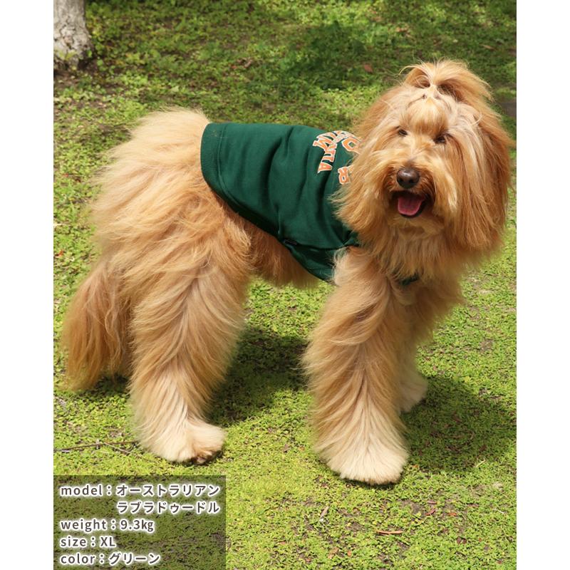 クリフメイヤードッグ KRIFF MAYER DOG アメカジ ドッグ お揃い 犬服 カレッジロゴ 暖かい ペアルック カラフル 防寒 小型犬 中型犬 ロゴ スウェット クルー | KRIFF MAYER | 14