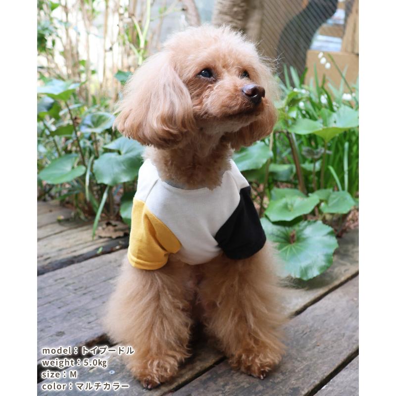 クリフメイヤードッグ KRIFF MAYER DOG Tシャツ ドッグ お揃い 犬服 ペアルック 防蚊 カジュアル 抜け毛対策 着脱簡単 半袖 カラフル BUG PROOF プリントT 車 | KRIFF MAYER | 15