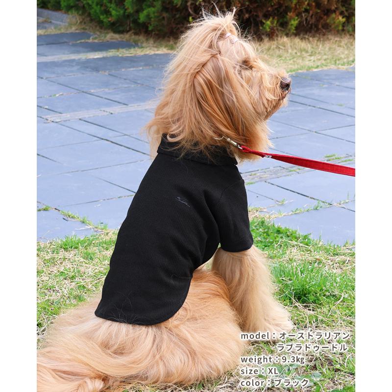 クリフメイヤードッグ KRIFF MAYER DOG ポロシャツ ドッグ お揃い 犬服 ペアルック 接触冷感 ボタン お洒落 抜け毛対策 着脱簡単 冷感 リンクス カノコ ポロ | KRIFF MAYER | 18