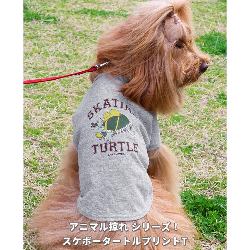 クリフメイヤードッグ KRIFF MAYER DOG Tシャツ ドッグ お揃い 犬服 ペアルック 撥水 カジュアル 抜け毛対策 着脱簡単 半袖 ウェットプロテクト T タートル | KRIFF MAYER | 07