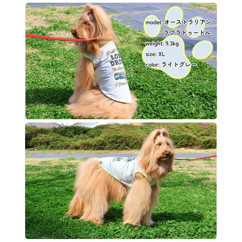 クリフメイヤードッグ KRIFF MAYER DOG ドッグ お揃い ペアルック 犬服 プリント カジュアル 抜け毛対策 着脱簡単 春 夏 2025SS 超速乾 アクティブ Tシャツ | KRIFF MAYER | 08