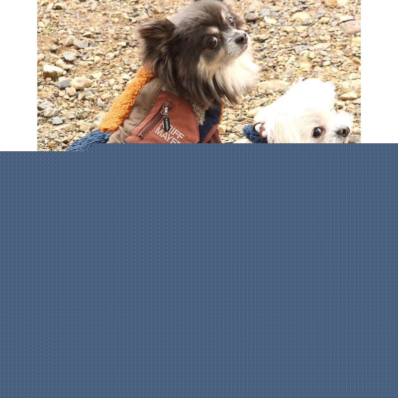 KRIFF MAYER（クリフメイヤー） ドッグ KRIFF MAYER DOG アウター