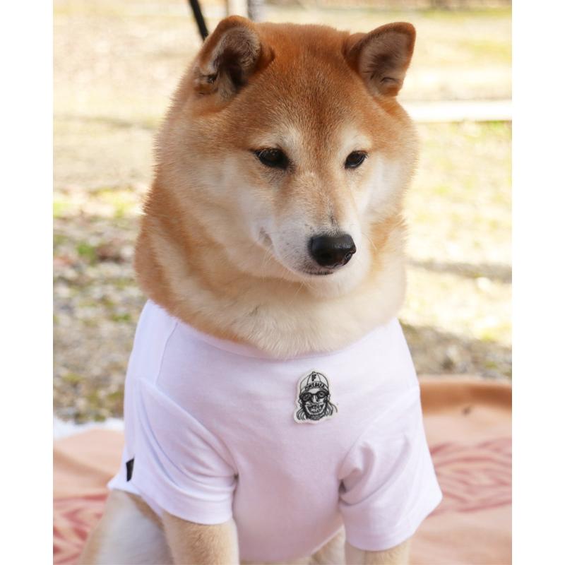 クリフメイヤー ドッグ KRIFF MAYER DOG Tシャツ お揃い 犬服 ペアルック 伸縮性 可愛い 綿 カジュアル 抜け毛対策 チルタイム 半袖T ポーカー | KRIFF MAYER | 11