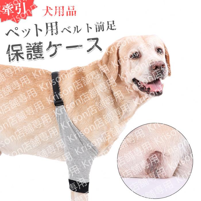 トーラス ガジリノン100 舐めぐせ防止用品 しつけ用品 犬用品 噛みぐせ いたずら防止 愛犬用 100ml