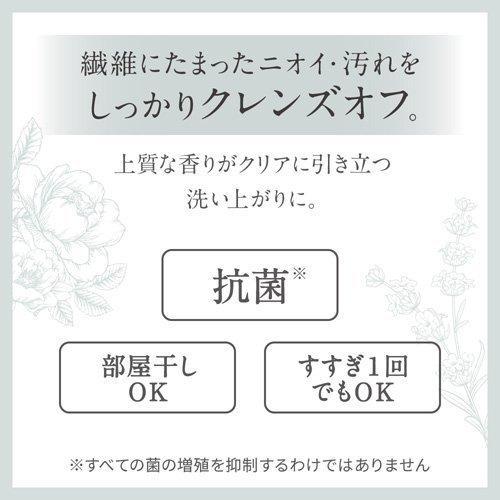 Kao（花王） お得セット フレア フレグランス IROKA 洗濯洗剤 ベース