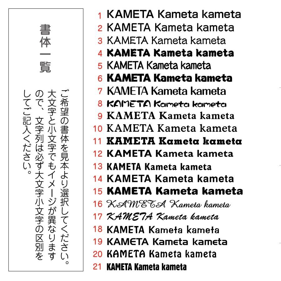 リクガメ ネーム入り オーダーメイド カッティングステッカー 全27色