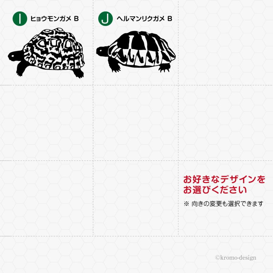 リクガメ ネーム入り オーダーメイド カッティングステッカー 全27色