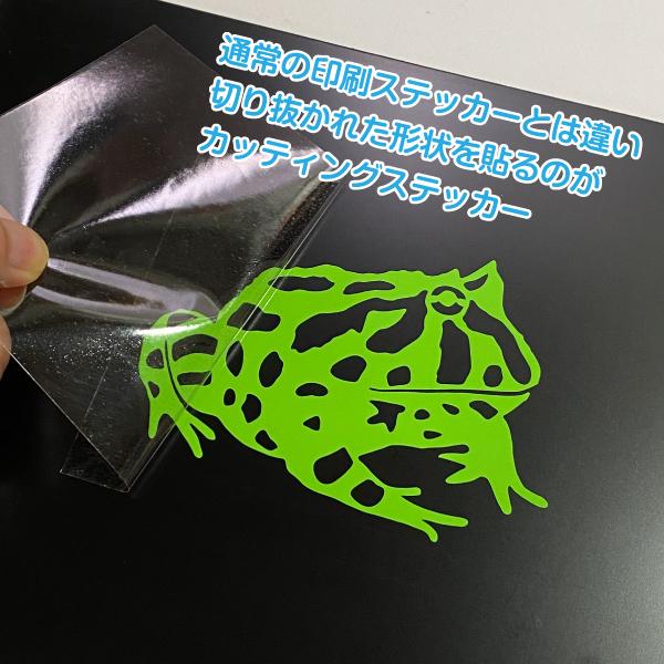 ヤドクガエル 爬虫類 両生類 カッティング ステッカー 屋外 車 防水 耐熱 全27色｜kromo-design｜06