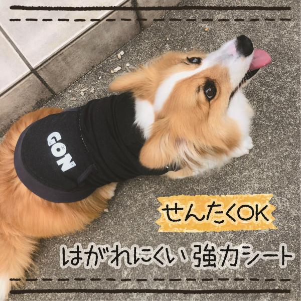 わんちゃんイニシャルアイロンシールorステッカー　洗濯OK　剥がれにくい強力シート　ドックウェア、ペットウェア、お名前シール　犬服　パーツ |  | 02