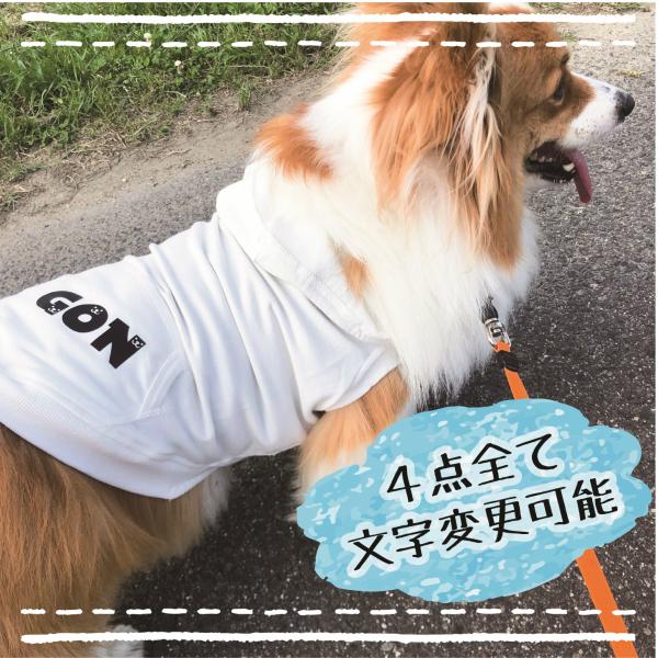 わんちゃんイニシャルアイロンシールorステッカー　洗濯OK　剥がれにくい強力シート　ドックウェア、ペットウェア、お名前シール　犬服　パーツ |  | 03