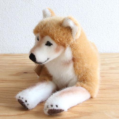ケーセン 柴犬伏せ