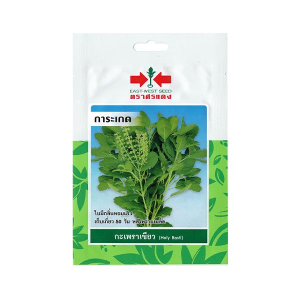人気ショップが最安値挑戦 ホーリーバジルの種 ガパオ