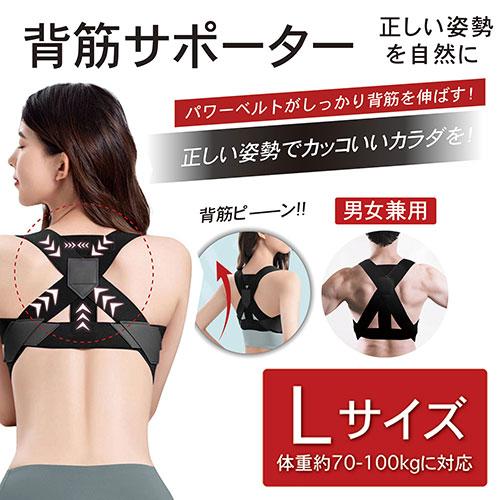 デジタルランド 背筋サポーター Lサイズ 正しい姿勢でカッコいいカラダ