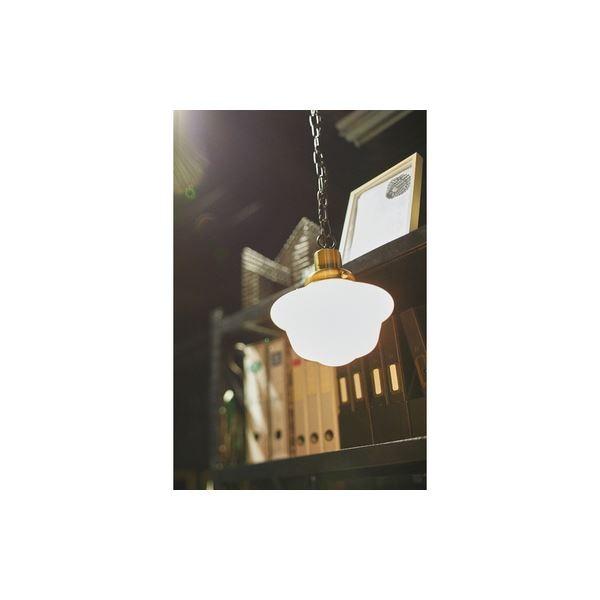 ペンダントライト 照明器具 LHT-735 幅20cm スチール アルミ ガラス 電球付き リビング ダイニング 寝室 ベッドルーム | ブランド登録なし | 04