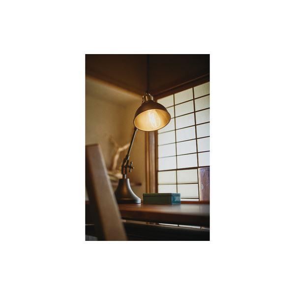 照明器具 テーブルライト 幅20〜50cm スチール アルミ 電球付き テーブルランプ リビング ダイニング ベッドルーム |  | 02