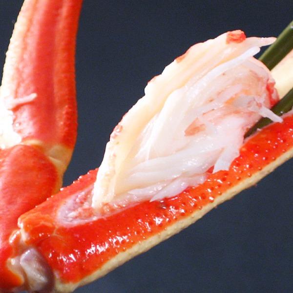 〔身入り抜群のA級品 〕カナダ産ボイルズワイガニ姿・約500g×4尾 冷凍ズワイ蟹 ZHB504b〔代引不可〕 約500g×4尾 冷凍ズワイ蟹 ZHB504