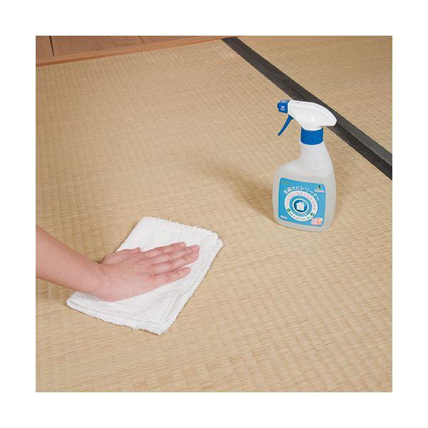 (まとめ)アズマ工業乳酸カビトリーナー洗浄効果プラス付替用 400ml 1本〔×5セット〕 | アズマ工業 | 02