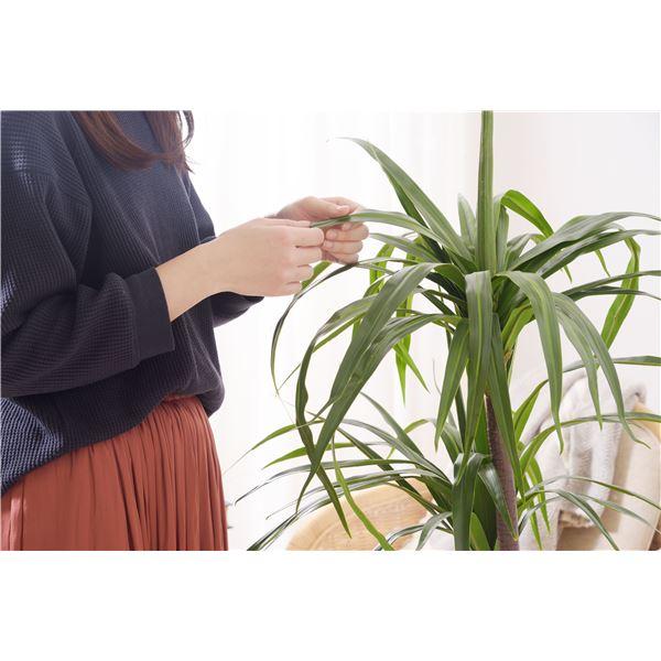 フェイクグリーン 観葉植物 ドラセナ 約幅43×奥行42×高さ84cm リビング 店舗 ショップ インテリア雑貨の画像