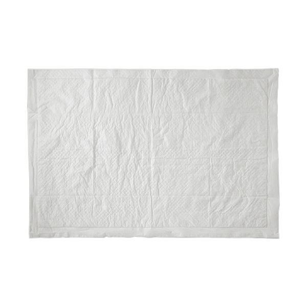 TANOSEE 業務用吸水シート Lサイズ(スーパーワイド) 1セット(160枚：40枚×4パック)_1