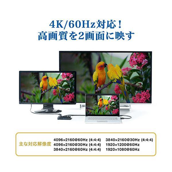 サンワダイレクトHDMI分配器(1入力2出力 4K/60Hz対応 HDR非対応 HDMIスプリッター) 400-VGA0131個｜krypton｜03