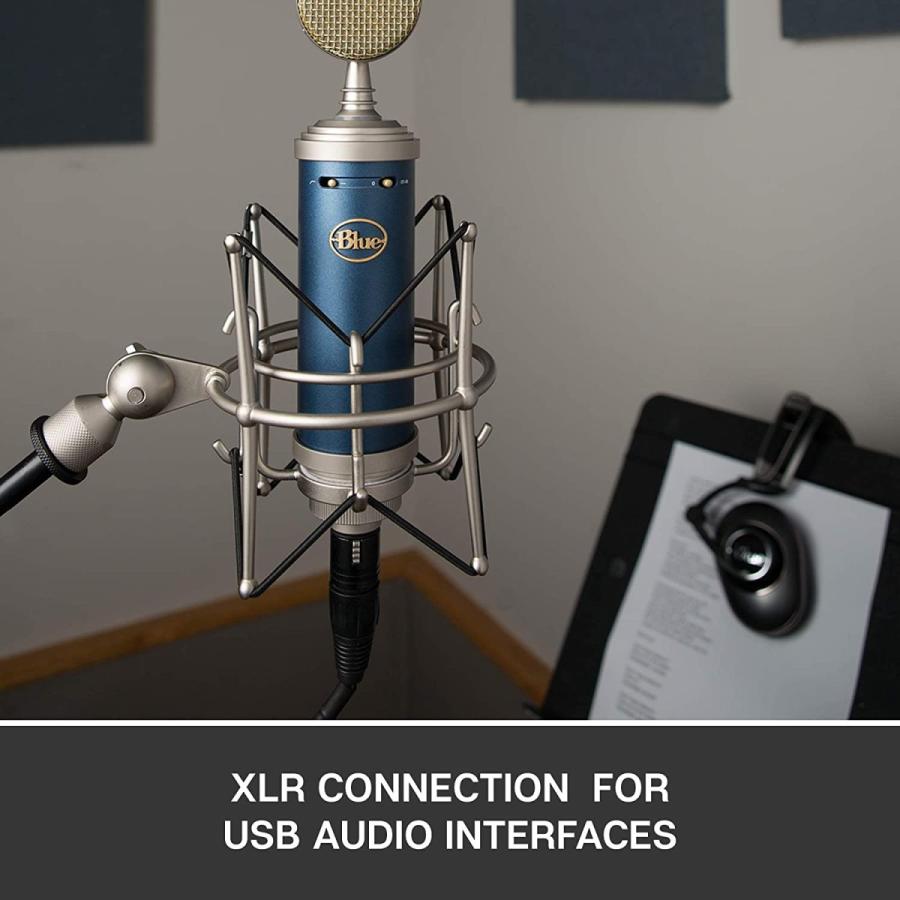 新品 ブルーマイクロフォンブルーバードsl大型ダイヤフラムコンデンサーマイク 送料無料 B01mzblkn5 Kryrストア 通販 Yahoo ショッピング