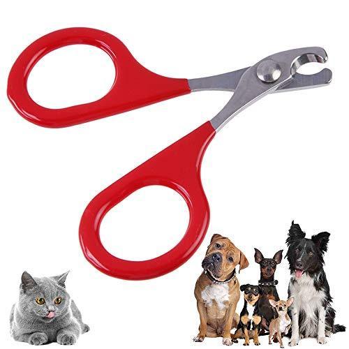 純正大セール 新品 ペットネイルハサミ プロペット 犬 子犬 爪切り 爪はさみ トリマー ペット グルーミング製品 B085mxf4pw Kryrストア 通販 Yahoo ショッピング 在庫あります Murad Com Jo