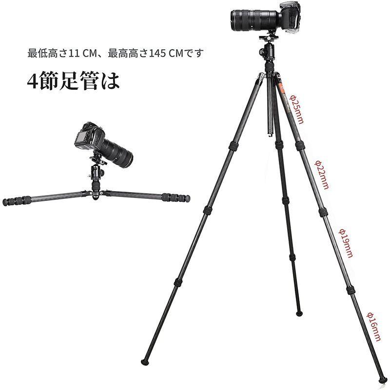 SWFOTO T2540CT カメラ 三脚 カーボン トラベル 4段 アルカスイス 軽量防水耐荷重13kg T2540CT カメラ 三脚 カーボン トラベル 4段 アルカスイス 軽量防水耐荷重13kg