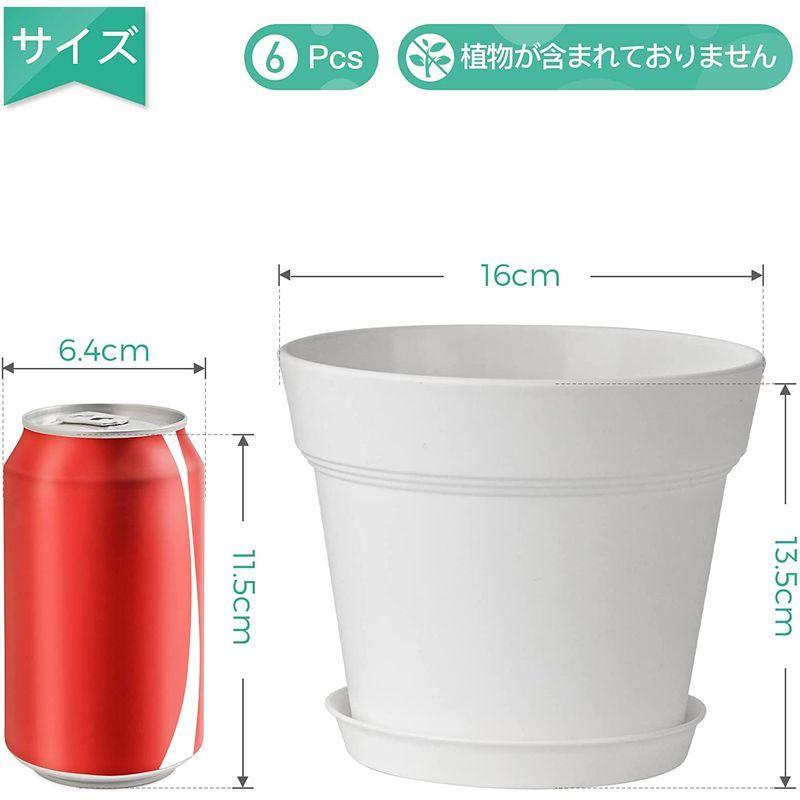 T4u 植木鉢 プラスチック プランター 6点セット 受け皿付き 排水穴付き 5号鉢 現代風 室内 観葉植物鉢 多肉植物鉢 ハーブ鉢 花鉢 最新最全の