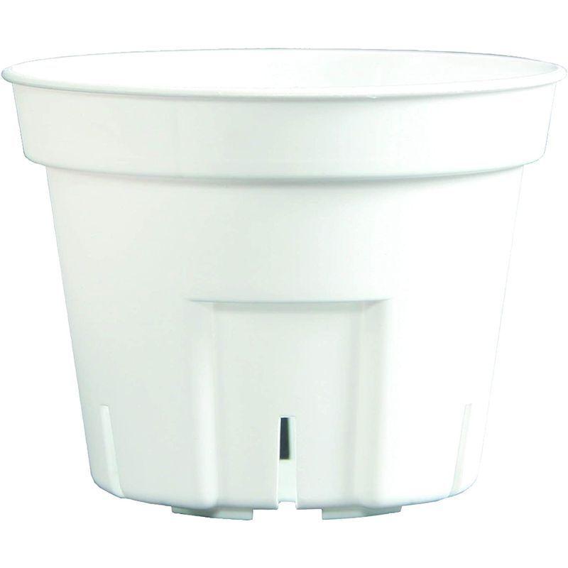 日本ポリ鉢販売(Japan Porihachi Hanbai) ポリ鉢 Sポット丸型603000鉢入 NI-101 白 3000入 Japan Porihachi Hanbai ポリ鉢 Sポット丸型603000鉢入 NI 白 3000入