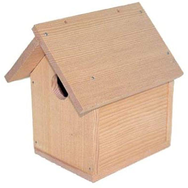 野鳥工作キットA 巣箱 (夏休み 工作 キット 自由研究 自由工作 手作り 冬休み 工作 キット 図画工作 学校教材 小学生 低学年 小学校|ks-argonite1|02