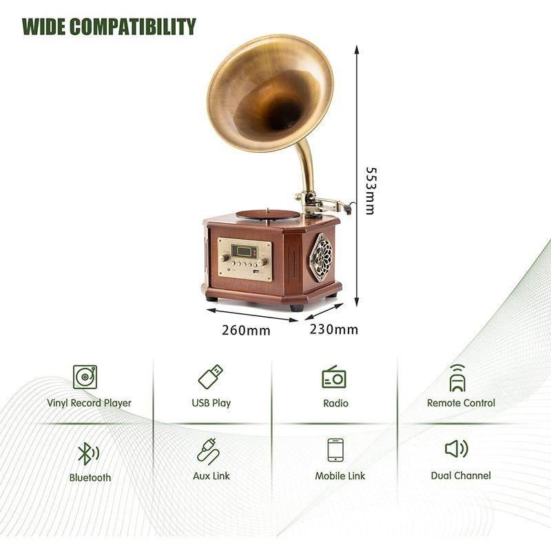 HOFEINZ 天然木材 蓄音機 純銅ホーン 工芸品 マルチレコードプレーヤー/Bluetooth4.2 /USB/FM ラジオ 天然木材 蓄音機 純銅ホーン 工芸品 マルチレコードプレーヤー/Bluetooth4 /USB/FM ラジオ