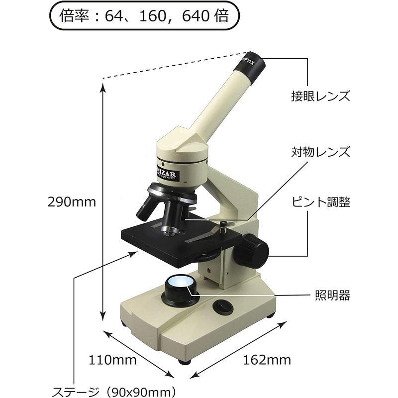 ミザールテック 顕微鏡 学習用 小学生 中学生 向け 日本製 照明器式 MS-600L 顕微鏡 学習用 小学生 中学生 向け 日本製 照明器式 MS 600L