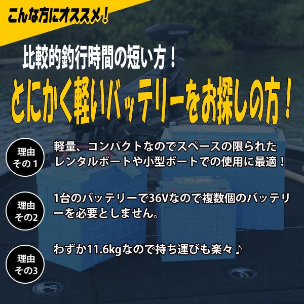 リチビー(Lithi-B) リチウムバッテリー 36V30Ah LiFePO4 (リン酸 リチビー(Lithi-B) リチウムバッテリー 36V30Ah LiFePO4 (リン酸