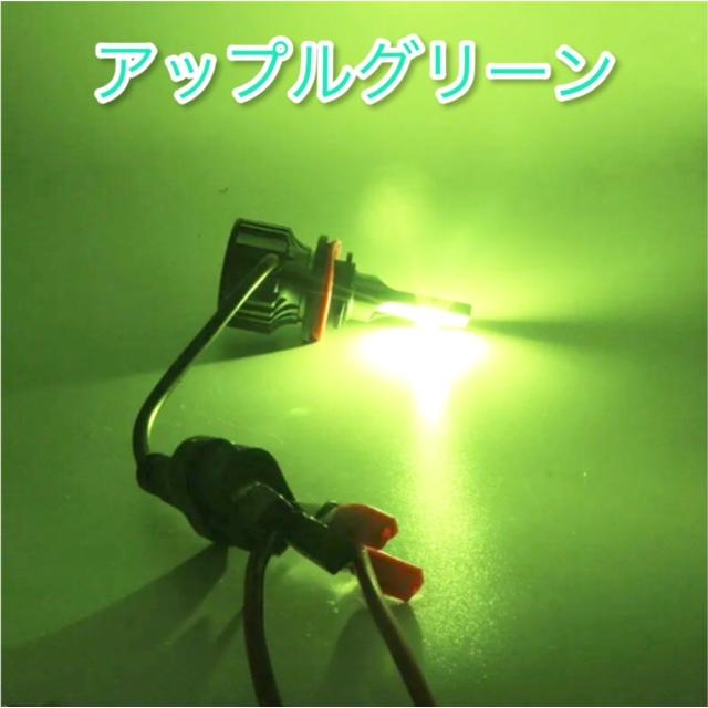 LED フォグランプ バルブ H16 H11 H8 緑 爆光 HB4 H3 H7