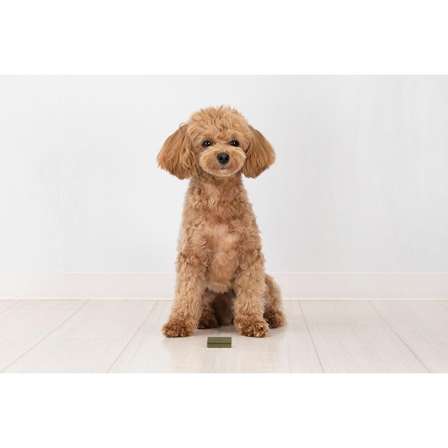 犬 歯磨き ガム おやつ ハミガキ はみがき グルテンフリー 無添加 Olivepet ナチュラルデンタルガムxs12本 アレルギー対応 小麦不使用 Ks Garden 通販 Yahoo ショッピング