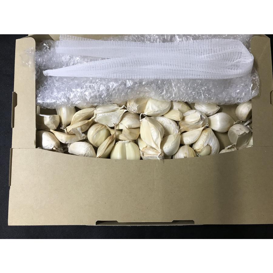 にんにく わけあり品 青森県産ホワイト六片種 500g 送料無料 高糖度