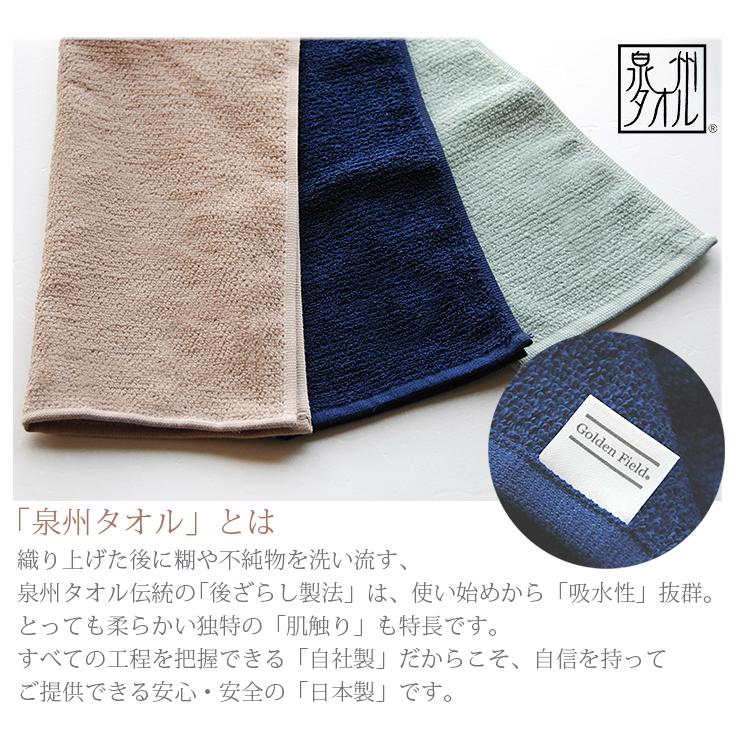 タオルハンカチ 3枚 セット 日本製 メンズ 小さめ 無地 制菌加工