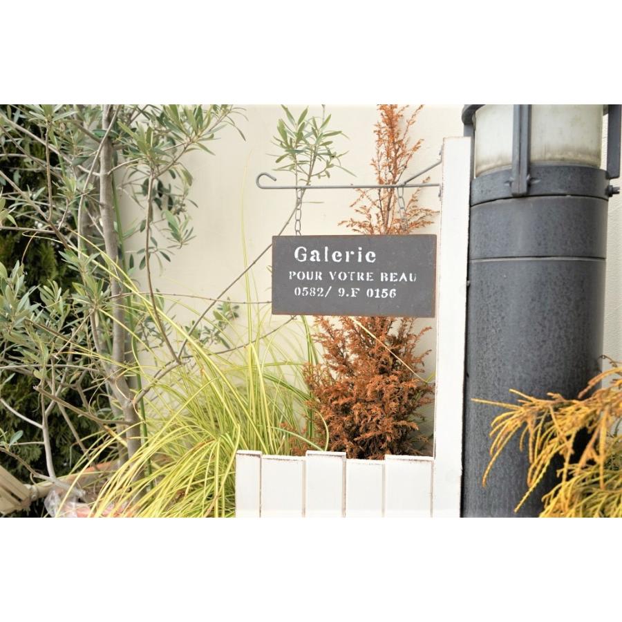 ブロカントピックw Ma1425 ガーデンピック ガーデニング雑貨 ガーデニング エクステリア ナチュラルガーデン シンプル アンティーク おしゃれ 850 K S Village 通販 Yahoo ショッピング