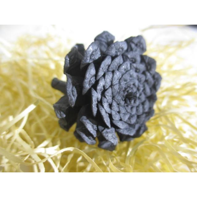 G004 0105 松ぼっくり 特殊技法により実花を炭化 使い方いろいろ 同梱不可 花炭 佐渡 G004 0105 ステレオ工房 ポニー 通販 Yahoo ショッピング