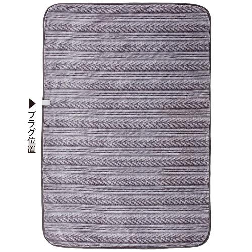 KODEN 抗ウイルス 電気毛布 CWB801R-HVAD 約138×230cm 広電 電気毛布 掛敷タイプ 抗ウイルス 消臭 CWB801R-HVAD